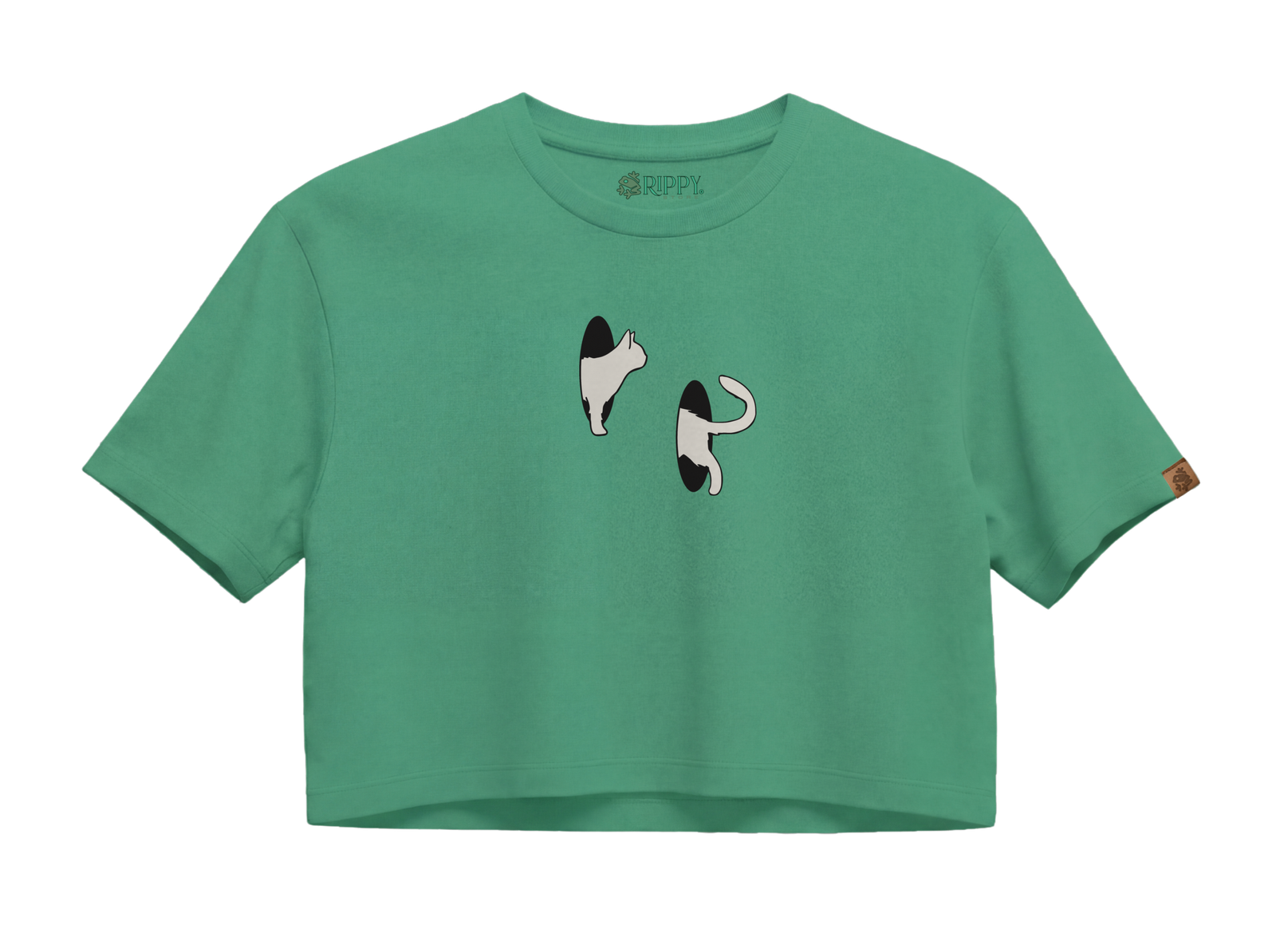 split cats – boxy crop